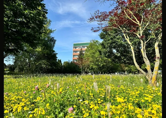 Apartment Schloss Der Wag *